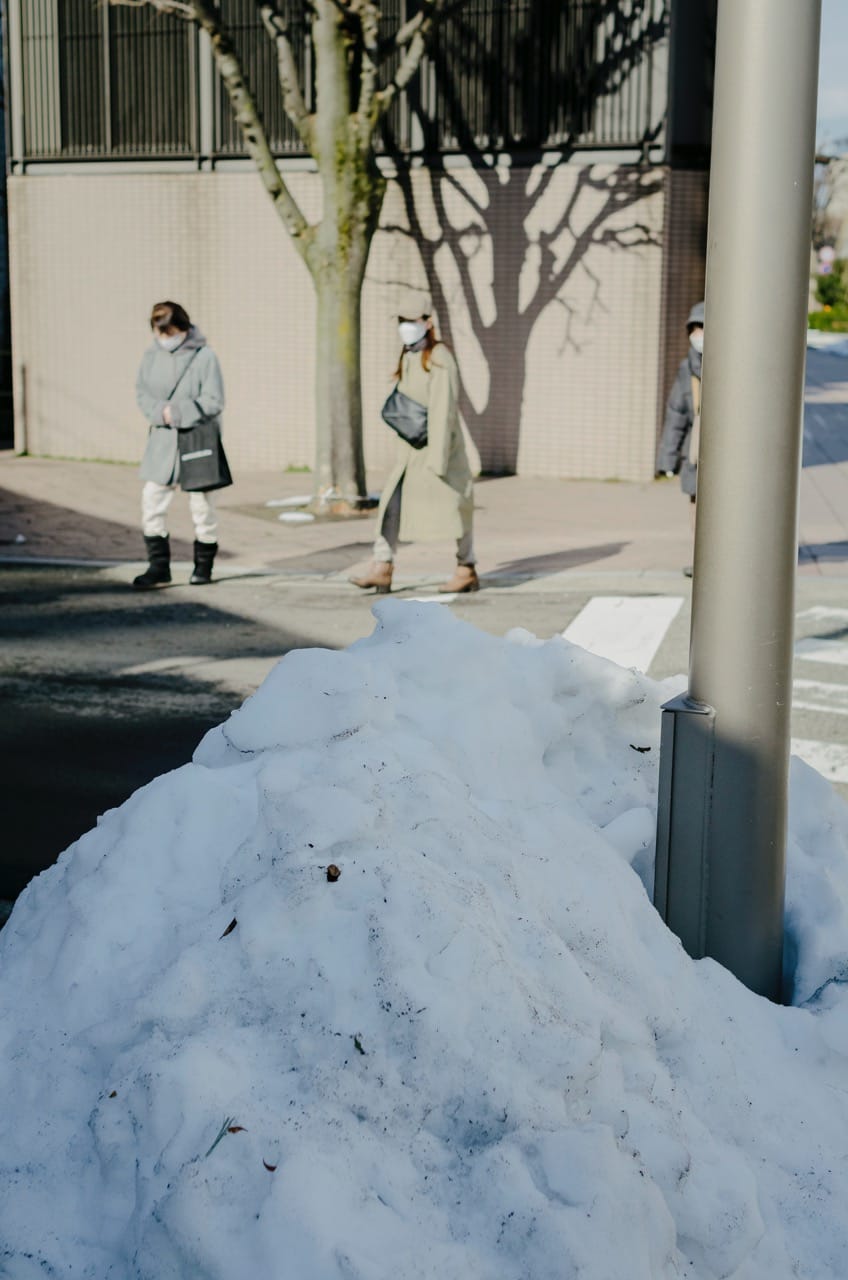 Превью Kanazawa 2024